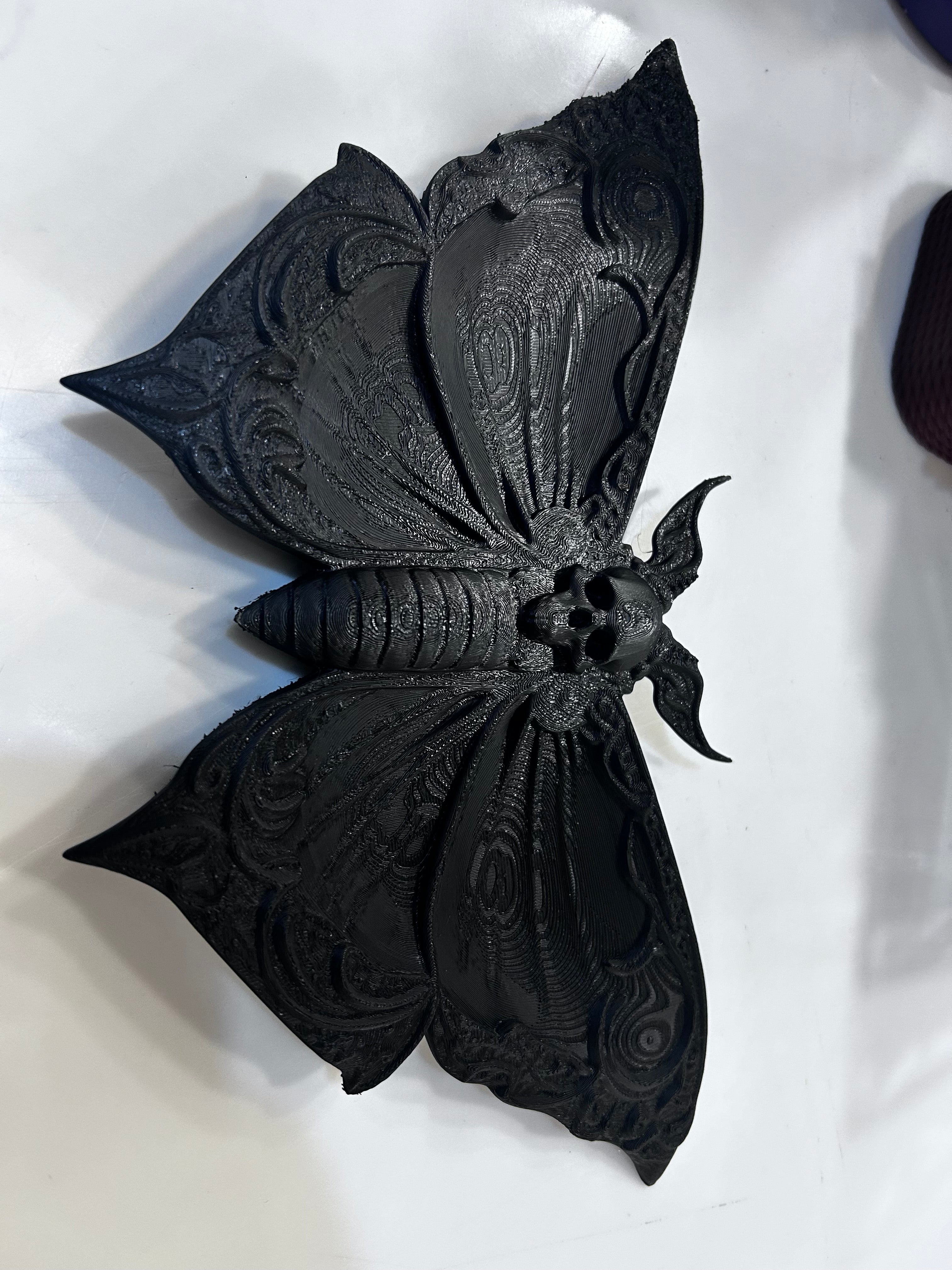 Moth Plate